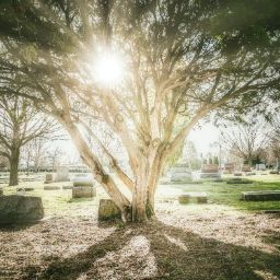 Cimitero